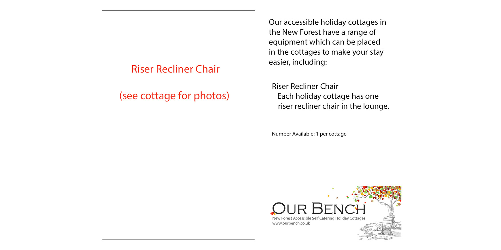 Riser Recliner Chair details